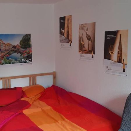 Gite De Benedicte Ancienne Douane Colmar Exteriér fotografie