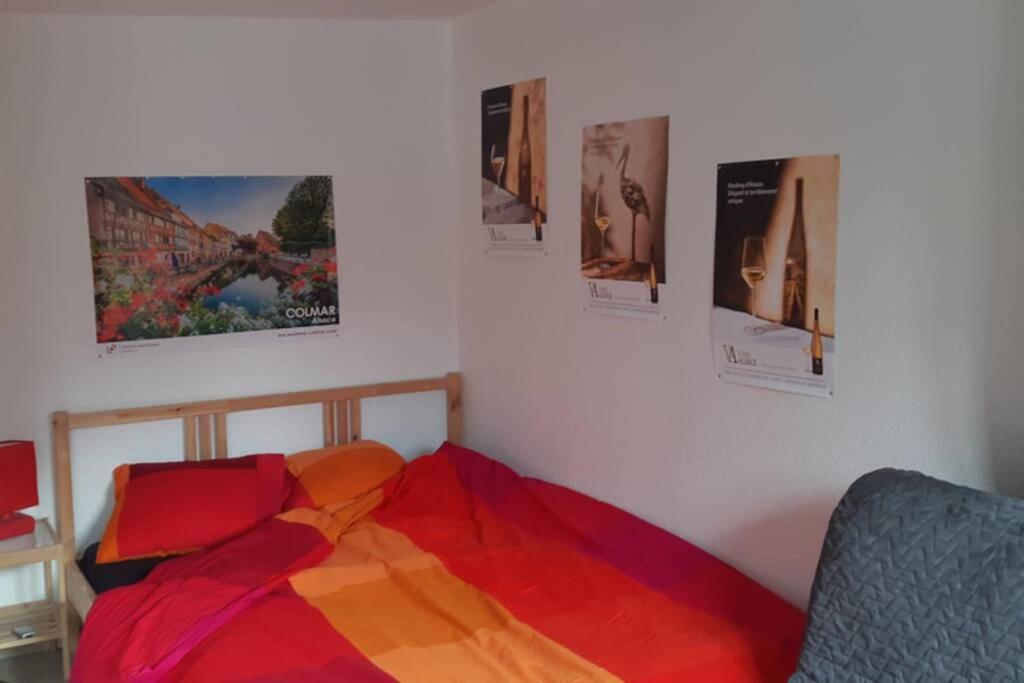 Gite De Benedicte Ancienne Douane Colmar Exteriér fotografie